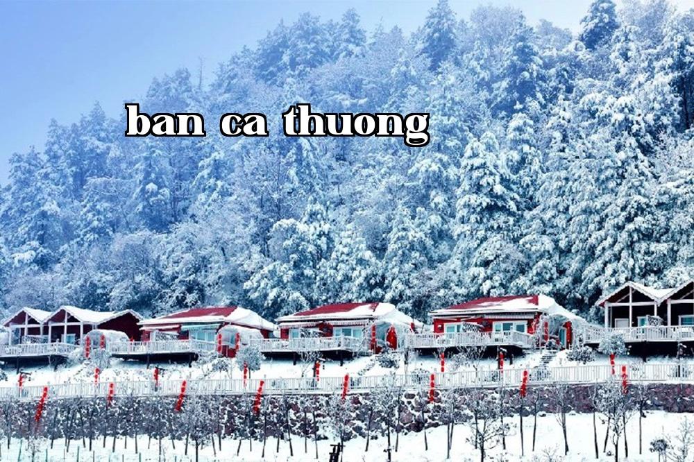 Nhà nghỉ dưỡng | Vân Đầu Mỹ Dưỡng Residence tại Tựng Gia Sơn